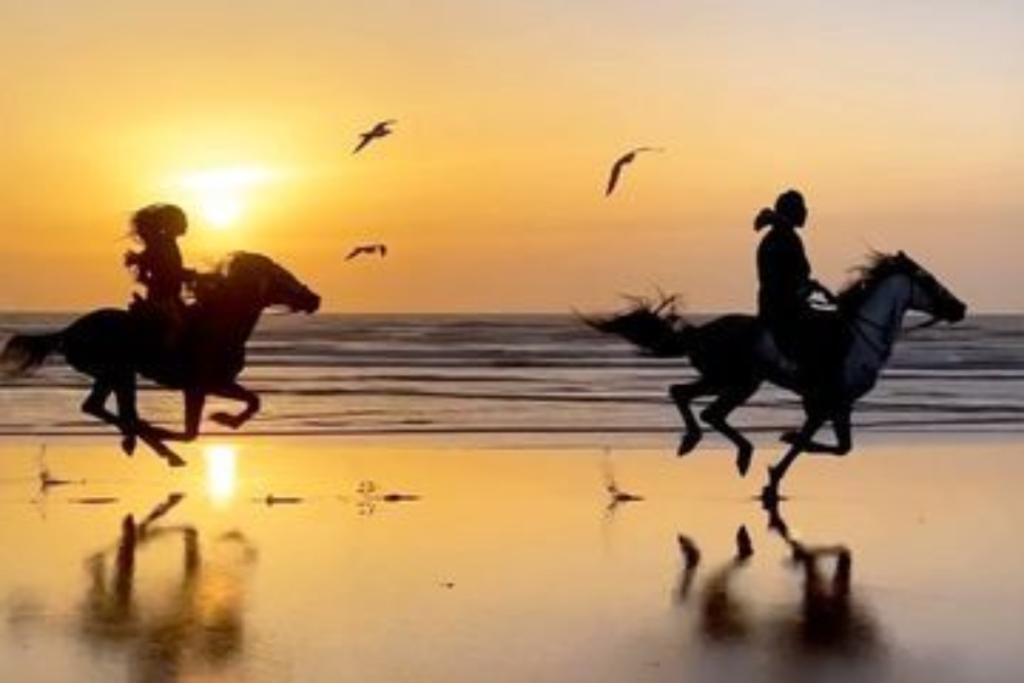 Horse riding Marrakech