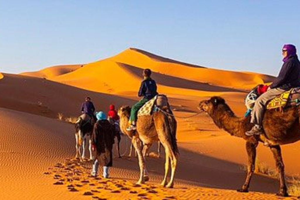 Quad Bike Marrakech Tour