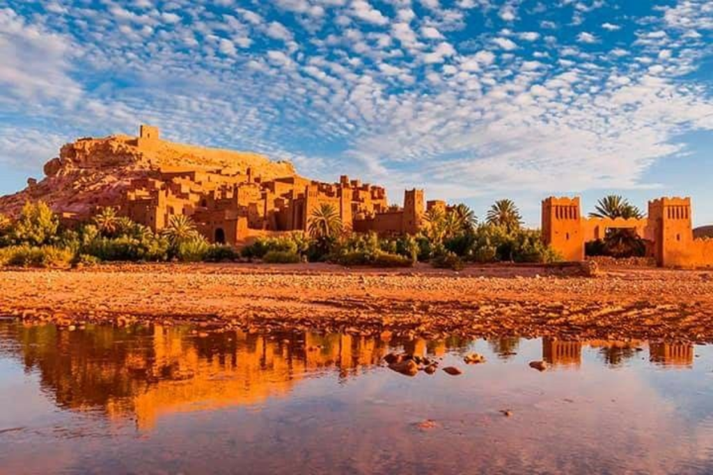 palm grove bike tour marrakech