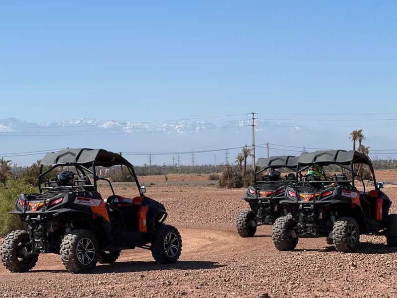 Buggy Palmeraie Marrakech -buggy Marrakech