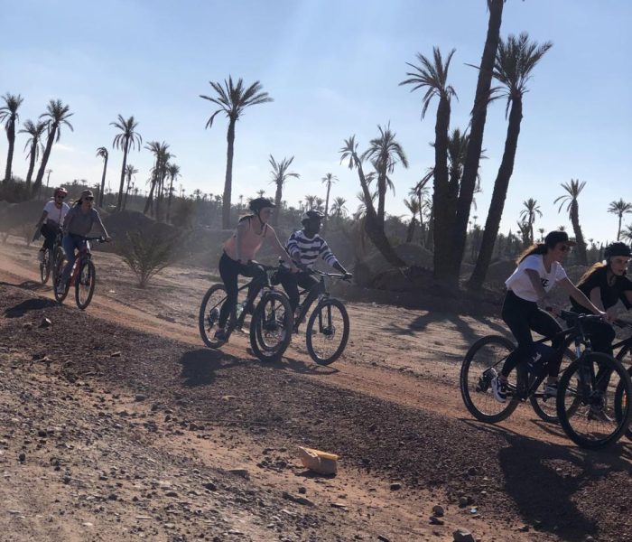 Cycling in Marrakech , Cycling in Palmeraie