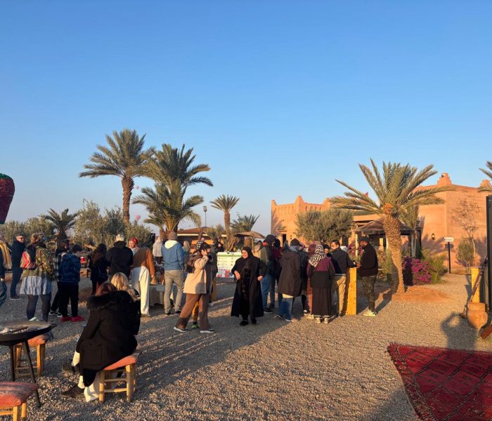 10 Best Activities for Kids in Marrakech: Fun, Safe & Family-Friendly